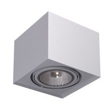 Alpina lampa sufitowa plafon 1x20W G53 12V srebrny aluminiowy 