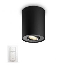Pillar Hue lampa sufitowa spot 1x50W GU10 230V czarna + ściemniacz