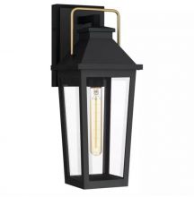 Buckley kinkiet zewnętrzny E27 12W czarny/złoty
